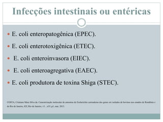 Infecções intestinais ou entéricas
 E. coli enteropatogênica (EPEC).
 E. coli enterotoxigênica (ETEC).
 E. coli enteroinvasora (EIEC).
 E. coli enteroagregativa (EAEC).
 E. coli produtora de toxina Shiga (STEC).
COSTA, Cristiane Mara Silva da. Caracterização molecular de amostras de Escherichia carreadoras dos genes stx isolados de bovinos nos estados de Rondônia e
do Rio de Janeiro, 82f, Rio de Janeiro, v3. , n35.,p1, mar, 2013.
 