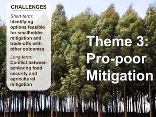 Reform in the making: CGIAR Research Program on Climate Change and Food Security (CCAFS)