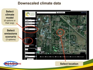 Reform in the making: CGIAR Research Program on Climate Change and Food Security (CCAFS)