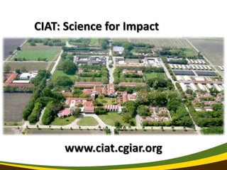 Reform in the making: CGIAR Research Program on Climate Change and Food Security (CCAFS)