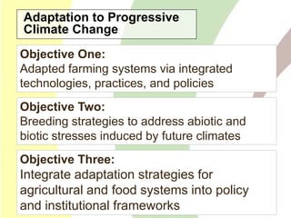 Reform in the making: CGIAR Research Program on Climate Change and Food Security (CCAFS)