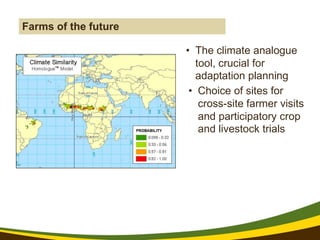 Reform in the making: CGIAR Research Program on Climate Change and Food Security (CCAFS)
