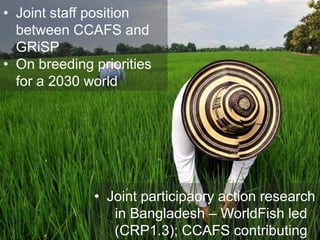Reform in the making: CGIAR Research Program on Climate Change and Food Security (CCAFS)