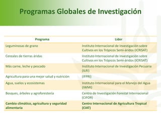 Echeverria cgiar iica octubre 2011 sjo 2