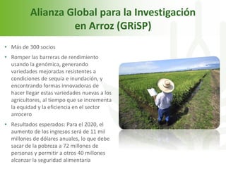 Echeverria cgiar iica octubre 2011 sjo 2