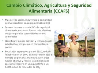 Echeverria cgiar iica octubre 2011 sjo 2