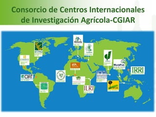 Echeverria cgiar iica octubre 2011 sjo 2
