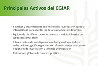 Echeverria cgiar iica octubre 2011 sjo 2