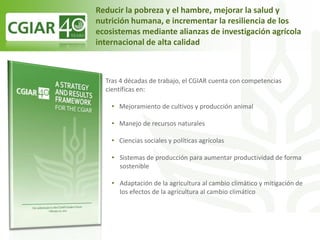 Echeverria cgiar iica octubre 2011 sjo 2