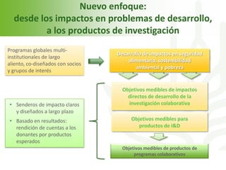 Echeverria cgiar iica octubre 2011 sjo 2