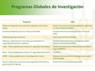 Echeverria cgiar iica octubre 2011 sjo 2