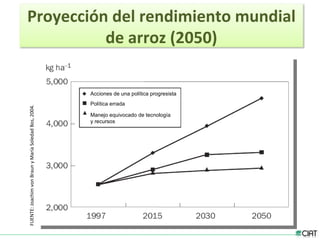 Tendencias institucionales de la investigación agrícola en América Latina y el Caribe