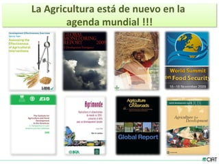 Tendencias institucionales de la investigación agrícola en América Latina y el Caribe
