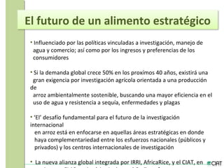 Tendencias institucionales de la investigación agrícola en América Latina y el Caribe