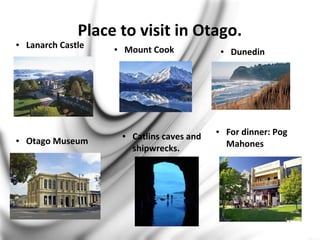 Place to visit in Otago.
● Lanarch Castle ● Mount Cook ● Dunedin
● For dinner: Pog
Mahones● Otago Museum
● Catlins caves and
shipwrecks.
 