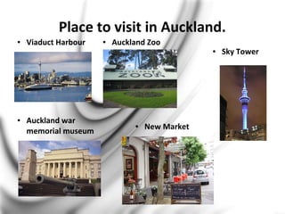 Place to visit in Auckland.
● Viaduct Harbour ● Auckland Zoo
● Sky Tower
● New Market
● Auckland war
memorial museum
 