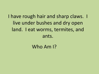 I have rough hair and sharp claws. I
live under bushes and dry open
land. I eat worms, termites, and
ants.
Who Am I?

 
