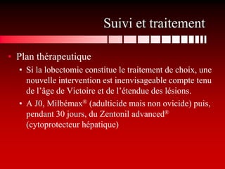 Suivi et traitement

• Plan thérapeutique
  • Si la lobectomie constitue le traitement de choix, une
    nouvelle intervention est inenvisageable compte tenu
    de l’âge de Victoire et de l’étendue des lésions.
  • A J0, Milbémax® (adulticide mais non ovicide) puis,
    pendant 30 jours, du Zentonil advanced®
    (cytoprotecteur hépatique)
 