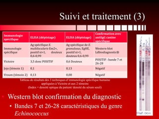 Suivi et traitement (3)
                                                                     Confirmation avec
Immunologie
                   ELISA (dépistage)          ELISA (dépistage)      antiIgG canine
spécifique
                                                                     spécifique
                   Ag spécifique E.           Ag spécifique de E.
Immunologie        multilocularis Em2+,       granulosus, EgHE,      Western-blot
spécifique         positif si>1,    douteux   positif si>1,          Ldbiodiagnostic®
                   0,6-0,99                   douteux 0,6-0,99
                                                                     POSITIF : bande 7 et
Victoire           3,5 donc POSITIF           0,6 Douteux
                                                                     26-28
Jojo (témoin 1)    0,1                        0,13                   Négatif

Vroum (témoin 2) 0,13                         0,08                   Négatif
           Tableau de résultats des 3 techniques d’immunologie spécifique humaine
                            appliquées à Victoire et aux 2 témoins
                 (Index = densité optique du patient/ densité du sérum seuil)


• Western blot confirmation du diagnostic
    • Bandes 7 et 26-28 caractéristiques du genre
      Echinococcus
 