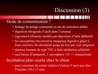 Discussion (3)
• Mode de contamination ?
     • léchage du pelage contaminé en cas de cestodose adulte
     • digestion rétrograde d’œufs dans l’estomac
     • ingestion d’aliments souillés par déjections d’hôte définitifs
     • les oncosphères traversent la muqueuse digestive grâce à
       leurs crochets, ils cheminent jusqu’au foie par voie sanguine
     • réponse immune de type TH1 à forte médiation cellulaire
     • sauf baisse d’immunité, 1 oncosphère /10 => métacestode
• Incubation plus courte chez le chien
     • peut concerner de jeunes adultes (Victoire 5 ans) que chez
       l’homme (10 à 15 ans).
 