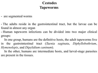 Cestodes
                             Tapeworms

- are segmented worms

- The adults reside in the gastrointestinal tract, but the larvae can be
found in almost any organ
- Human tapeworm infections can be divided into two major clinical
groups:
   In one group, humans are the definitive hosts, the adult tapeworms live
in the gastrointestinal tract (Taenia saginata, Diphyllobothrium,
Hymenolepis, and Dipylidium caninum).
   In the other, humans are intermediate hosts, and larval-stage parasites
are present in the tissues.
 