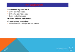 Echinococcosis | PPT