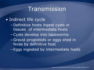 Transmission
• Indirect life cycle
– Definitive hosts ingest cysts in
tissues of intermediate hosts
– Cysts develop into t...