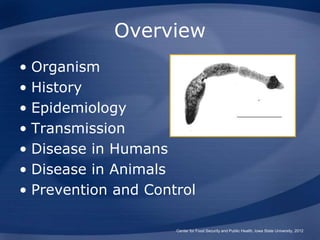 Overview
• Organism
• History
• Epidemiology
• Transmission
• Disease in Humans
• Disease in Animals
• Prevention and Cont...