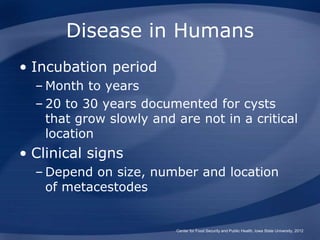 Disease in Humans
• Incubation period
– Month to years
– 20 to 30 years documented for cysts
that grow slowly and are not ...