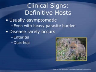 Clinical Signs:
Definitive Hosts
• Usually asymptomatic
– Even with heavy parasite burden
• Disease rarely occurs
– Enteri...