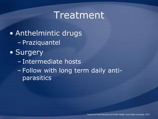 Treatment
• Anthelmintic drugs
– Praziquantel
• Surgery
– Intermediate hosts
– Follow with long term daily anti-
parasitic...