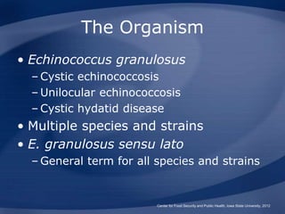 The Organism
• Echinococcus granulosus
– Cystic echinococcosis
– Unilocular echinococcosis
– Cystic hydatid disease
• Mult...
