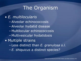 The Organism
• E. multilocularis
– Alveolar echinococcosis
– Alveolar hydatid disease
– Multilocular echinococcosis
– Mult...