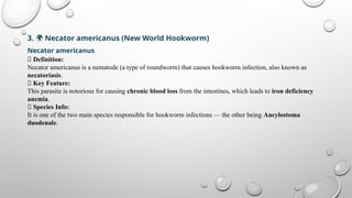 Echinococcosis, Loa loa, Necator americanus, Trichuris trichiura.pptx