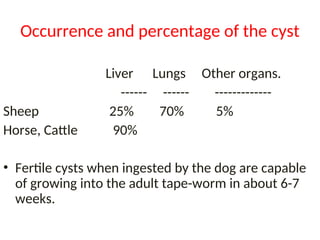 Occurrence and percentage of the cyst
Liver Lungs Other organs.
------ ------ -------------
Sheep 25% 70% 5%
Horse, Cattle 90%
• Fertile cysts when ingested by the dog are capable
of growing into the adult tape-worm in about 6-7
weeks.
 