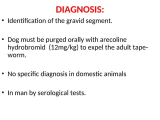 DIAGNOSIS:
• Identification of the gravid segment.
• Dog must be purged orally with arecoline
hydrobromid (12mg/kg) to expel the adult tape-
worm.
• No specific diagnosis in domestic animals
• In man by serological tests.
 