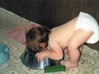 Echinococcus-lec.ppt For every science students