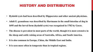 HISTORY AND DISTRIBUTION
• Hydatid cysts had been described by Hippocrates and other ancient physicians.
• Adult E. granulosus was described by Hartmann in the small intestine of dog in
1695 and the larval form (hydatid cysts) was recognized in 1782 by Goeze.
• The disease is prevalent in most parts of the world, though it is most extensive in
the sheep and cattle raising areas of Australia, Africa, and South America.
• It is also common in Europe, China, the Middle East and India.
• It is seen more often in temperate than in tropical regions.
 