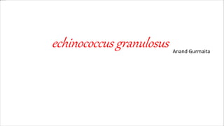 echinococcus granulosus Anand Gurmaita
 