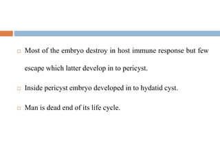  Most of the embryo destroy in host immune response but few
escape which latter develop in to pericyst.
 Inside pericyst embryo developed in to hydatid cyst.
 Man is dead end of its life cycle.
 