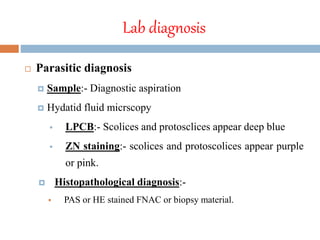 Lab diagnosis
 Parasitic diagnosis
 Sample:- Diagnostic aspiration
 Hydatid fluid micrscopy
 LPCB:- Scolices and protosclices appear deep blue
 ZN staining:- scolices and protoscolices appear purple
or pink.
 Histopathological diagnosis:-
 PAS or HE stained FNAC or biopsy material.
 