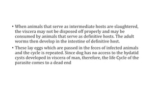 • When animals that serve as intermediate hosts are slaughtered,
the viscera may not be disposed off properly and may be
consumed by animals that serve as definitive hosts. The adult
worms then develop in the intestine of definitive host.
• These lay eggs which are passed in the feces of infected animals
and the cycle is repeated. Since dog has no access to the hydatid
cysts developed in viscera of man, therefore, the life Cycle of the
parasite comes to a dead end
 