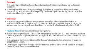 • Ectocyst
• It is outer layer. It is tough, acellular, laminated, hyaline membrane up to 1mm in
thickness.
• It resembles white of a hard-boiled egg. It is elastic, therefore, when excised or
ruptured, it curls on itself thus exposing the inner layer containing brood capsules,
scolices and daughter cysts.
• Endocyst
• It is inner or germinal layer. It consists of a number of nuclei embedded in a
protoplasmic mass. It measures 22-25 um in thickness. It gives rise to ectocyst on
outside and brood capsules and scolices on inside. It also secretes hydatid fluid.
• Hydatid fluid is clear, colourless or pale yellow.
• It has specific gravity of 1.005-1.010. It is sightly acidic (pH 6.7) and contains sodium
chloride, sodium sulphate, sodium phosphate and sodium and calcium salts of succinic
acid.
• It is antigenic, therefore, it is used for Casoni's test and when absorbed it leads to
anaphylactic shock.
• Centrifuged deposit of the hydatid fluid shows hydatid sand which consists of brood
capsules, free scolices and hooklets.
 