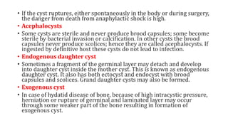 • If the cyst ruptures, either spontaneously in the body or during surgery,
the danger from death from anaphylactic shock is high.
• Acephalocysts
• Some cysts are sterile and never produce brood capsules; some become
sterile by bacterial invasion or calcification. In other cysts the brood
capsules never produce scolices; hence they are called acephalocysts. If
ingested by definitive host these cysts do not lead to infection.
• Endogenous daughter cyst
• Sometimes a fragment of the germinal layer may detach and develop
into daughter cyst inside the mother cyst. This is known as endogenous
daughter cyst. It also has both ectocyst and endocyst with brood
capsules and scolices. Grand daughter cysts may also be formed.
• Exogenous cyst
• In case of hydatid disease of bone, because of high intracystic pressure,
herniation or rupture of germinal and laminated layer may occur
through some weaker part of the bone resulting in formation of
exogenous cyst.
 