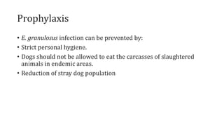 Prophylaxis
• E. granulosus infection can be prevented by:
• Strict personal hygiene.
• Dogs should not be allowed to eat the carcasses of slaughtered
animals in endemic areas.
• Reduction of stray dog population
 