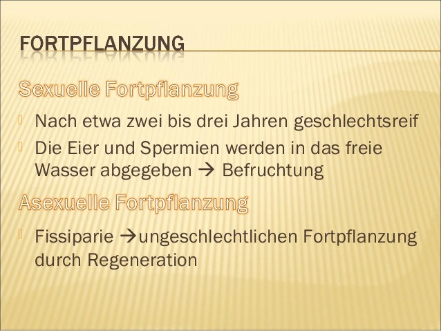 Was ist asexuelle fortpflanzung