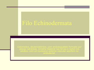 Filo Echinodermata Celomados, deuterostômios, com endoesqueleto formado por placas calcáreas, simetria bilateral nas larvas e radial nos adultos, com um exclusivo sistema vascular aqüífero ou ambulacral. 