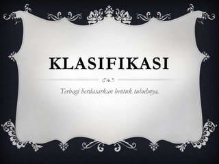 KLASIFIKASI
Terbagi berdasarkan bentuk tubuhnya.
 
