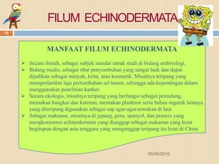 FILUM ECHINODERMATA
MANFAAT FILUM ECHINODERMATA
 Secara ilmiah, sebagai subjek standar untuk studi di bidang embriologi.
 Bidang medis, sebagai obat penyembuhan yang sangat baik dan dapat
dijadikan sebagai minyak, krim, atau kosmetik. Misalnya teripang yang
memperlambat laju pertumbuhan sel tumor, sehingga ada kepentingan dalam
menggunakan penelitian kanker.
 Secara ekologis, misalnya teripang yang berfungsi sebagai pemulung,
memakan bangkai dan kotoran, memakan plankton serta bahan organik lainnya
yang diteripang digunakan sebagai sup agar-agar.temukan di laut.
 Sebagai makanan, misalnya di jepang, peru, spanyol, dan prancis yang
mengkonsumsi echinodermata yang dianggap sebagai makanan yang lezat
begitupun dengan asia tenggara yang menganggap teripang itu lezat di China
05/05/2015
10
 