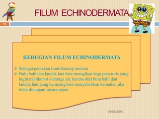 FILUM ECHINODERMATA
KERUGIAN FILUM ECHINODERMATA
 Sebagai pemakan tiram/kerang mutiara
 Bulu babi dan landak laut bisa merugikan bagi para turis yang
ingin menikmati olahraga air, karena duri bulu babi dan
landak laut yang beracung bisa menyebabkan kematian jika
tidak ditangani secara cepat
05/05/2015
11
 